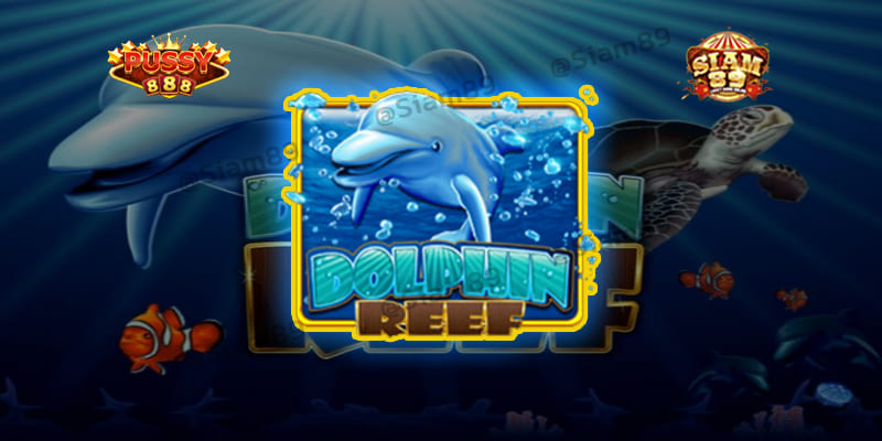 รีวิวเกม Dolphin Reef