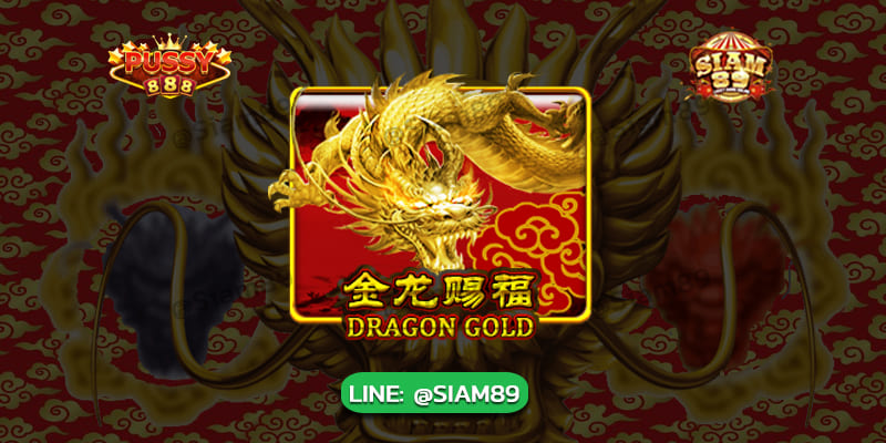 รีวิวเกม Dragon Gold Pussy888