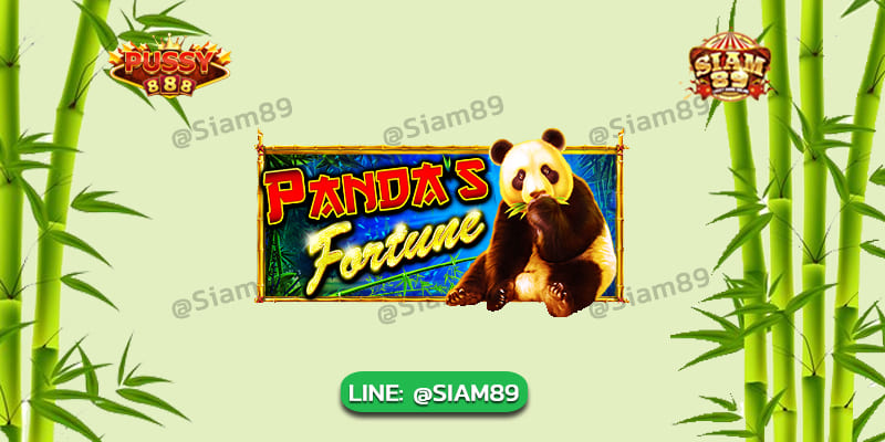 รีวิวเกม Fortune Panda Pussy888