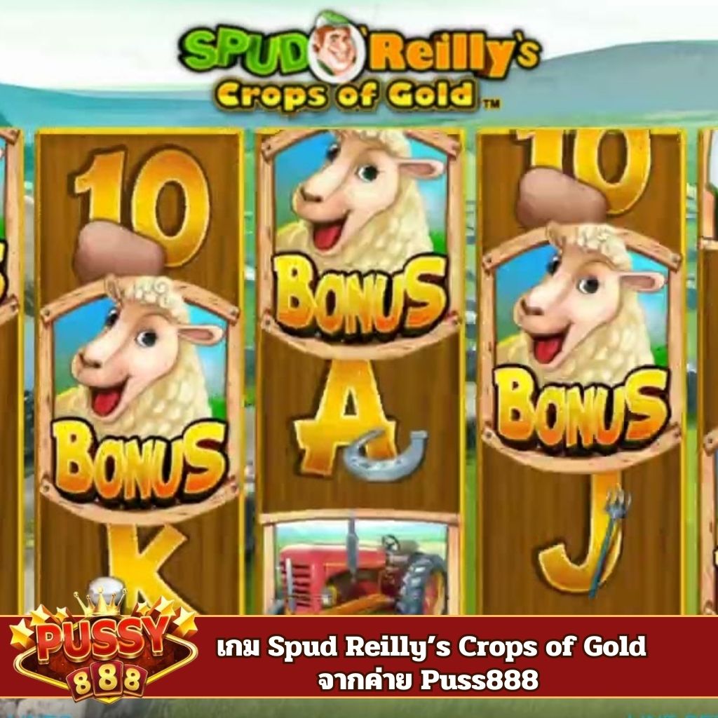 รีวิว Spud Reilly’s Crops of Gold จากค่าย hungry pussy 888